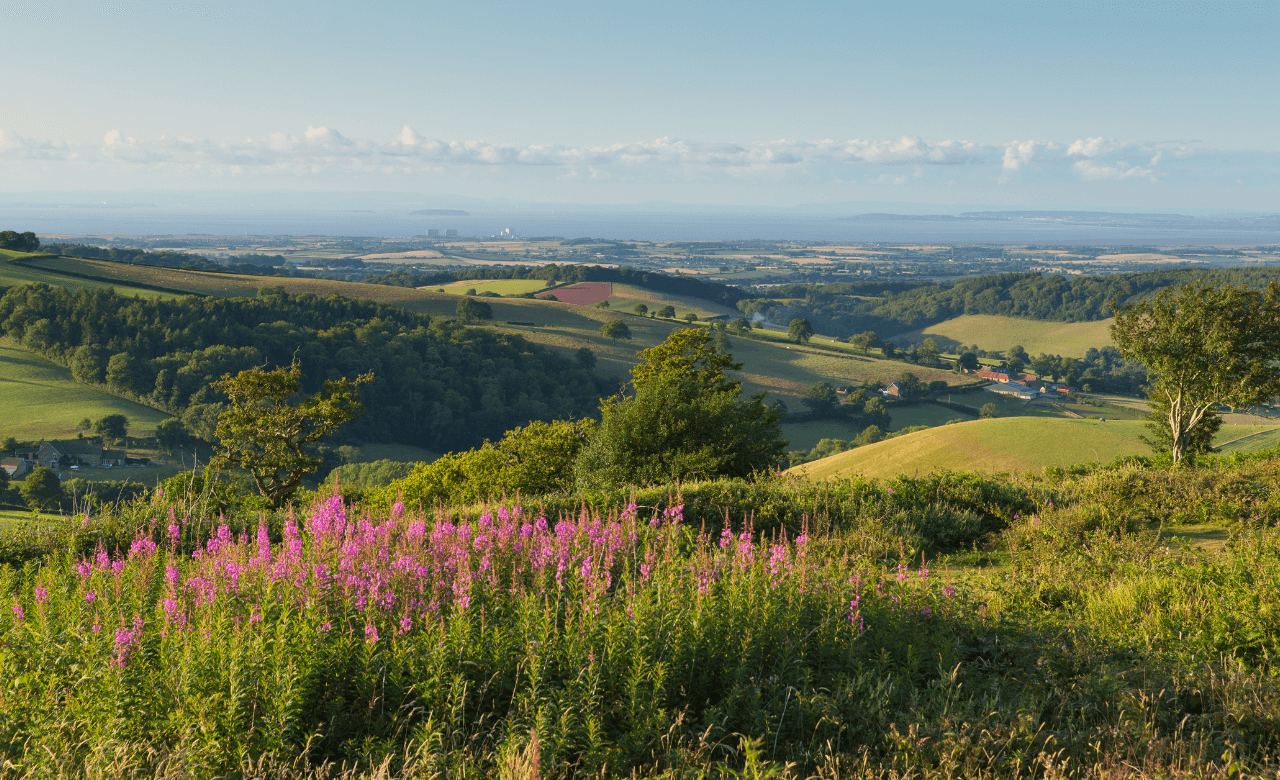 Image of Somerset & Wiltshire