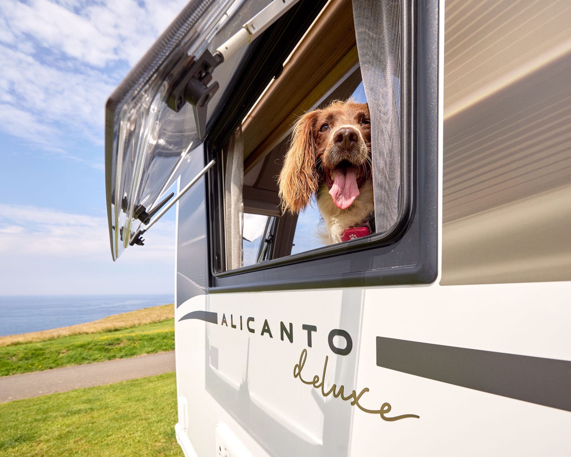 A happy dog looking out of a window in a Bailey caravan named Alicanto Deluxe, set against a scenic outdoor backdrop.